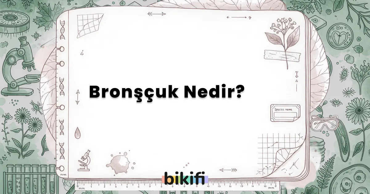 Bronşçuk Nedir?