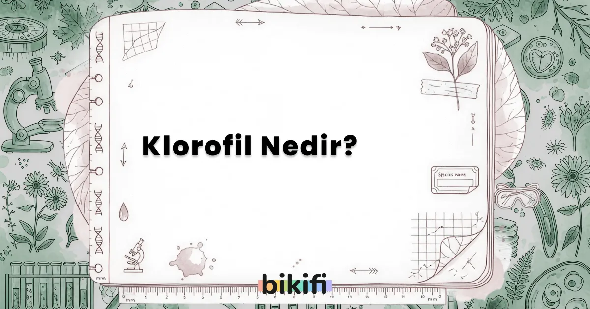 Klorofil Nedir?
