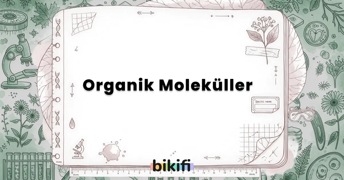 Organik Moleküller