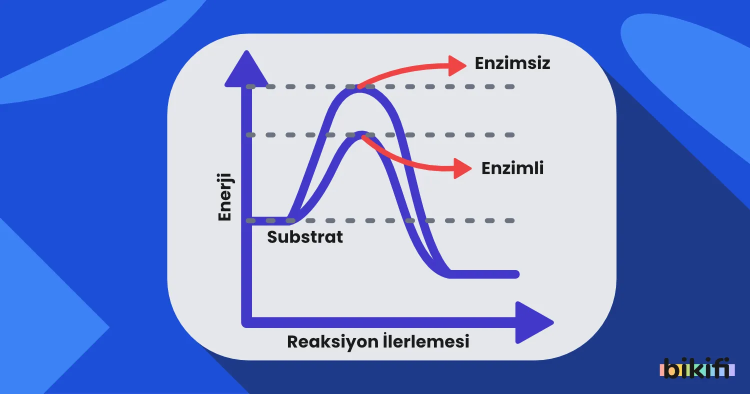 11. Sınıf Kimyasal Tepkimelerde Enerji