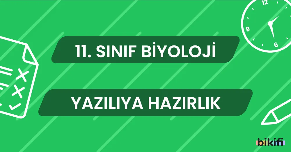 11. Sınıf Biyoloji: Yazılıya Hazırlık