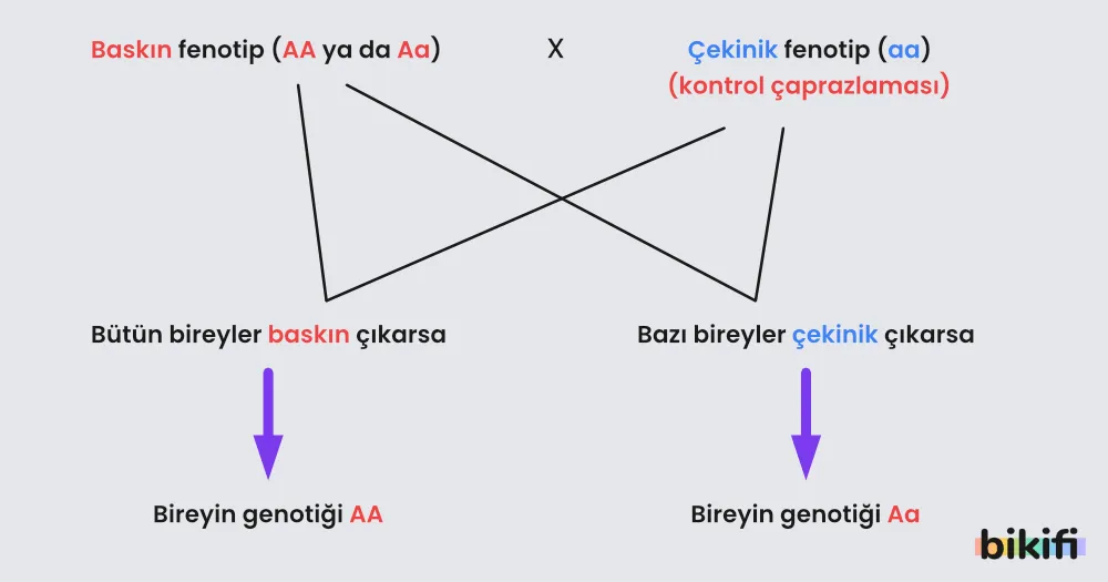 Kontrol Çaprazlaması