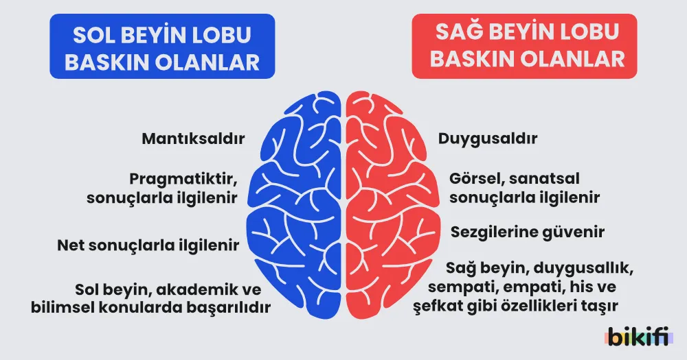 Sağ ve Sol Beyin karşılaştırması