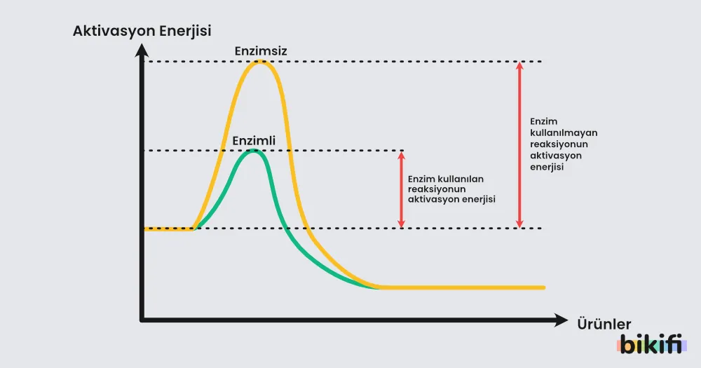 Bilimsel Entalpi Diagramları