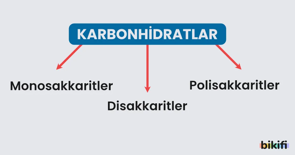 karbonhidratların sınıflandırılması