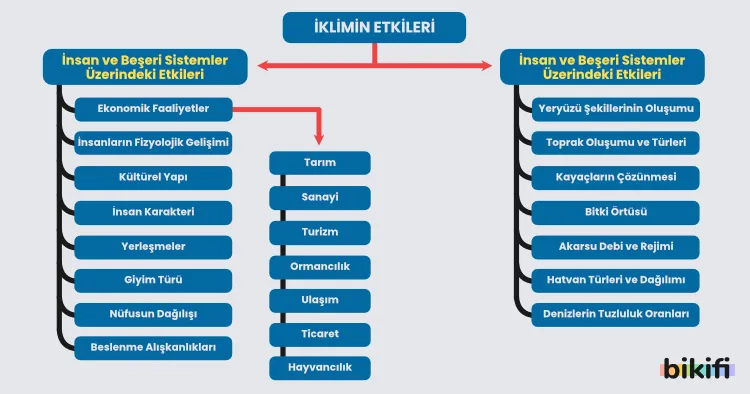 İklimin etkileri