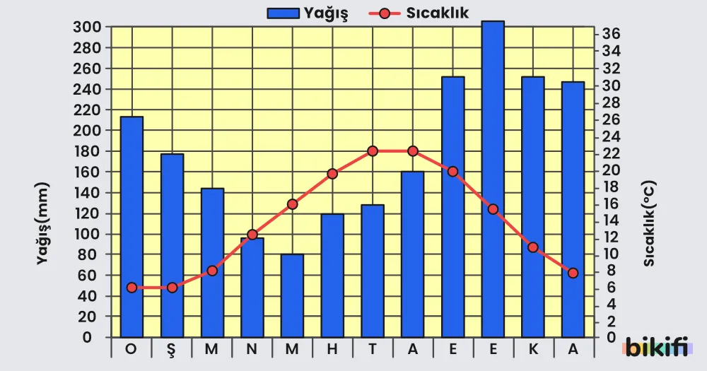 Karadeniz İklimi aylara göre yağış ve sıcaklık grafiği