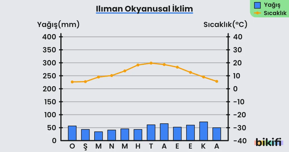 Ilıman okyanusal iklimin yağış ve sıcaklık grafiği