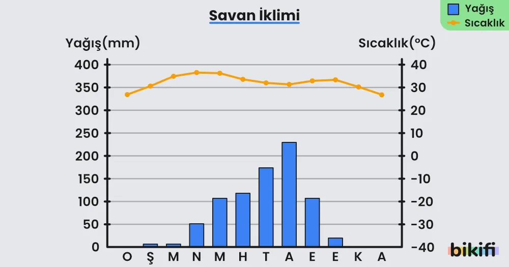 Savan ikliminin yağış ve sıcaklık grafikleri