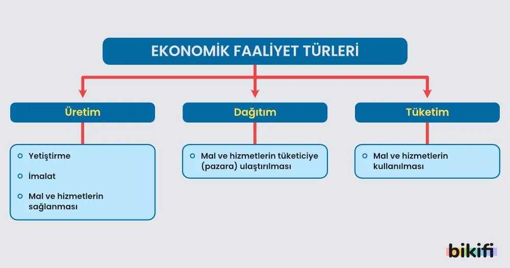 Ekonomik faaliyet türleri