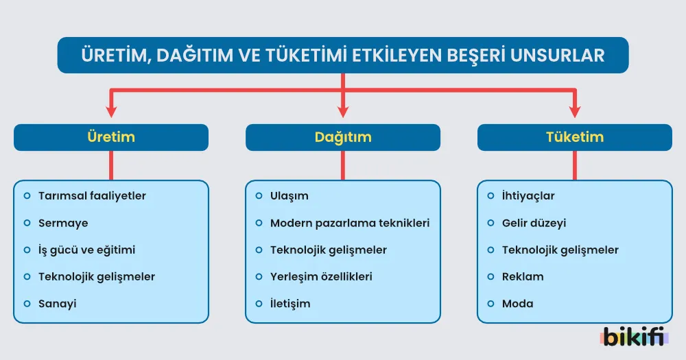 Üretim, dağıtım ve tüketimi etkileyen beşeri unsurların sınıflandırılması