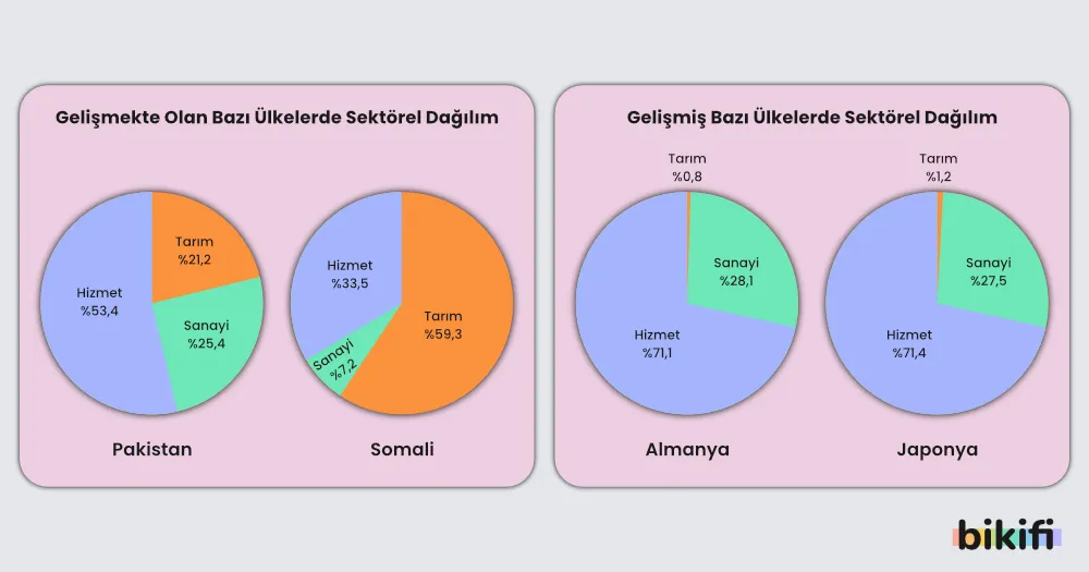 Gelişmişlik Düzeyine Göre Temel Sektör Eğilimleri
