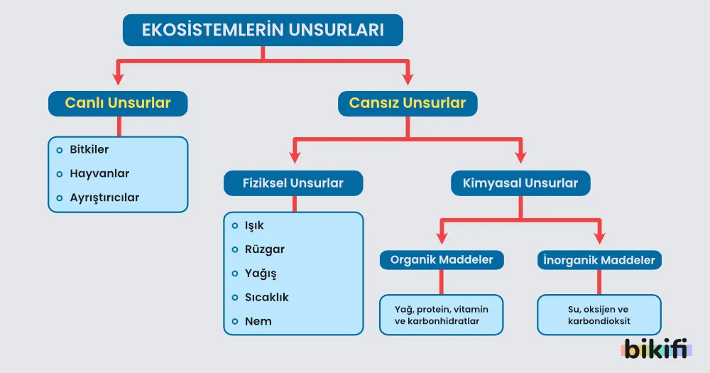 Ekosistemin unsurları
