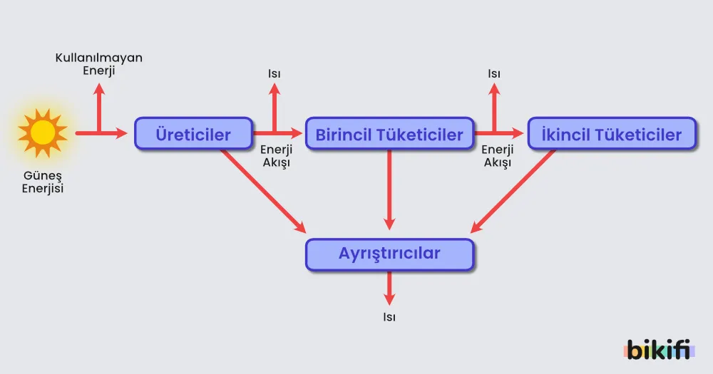 Enerji akışı