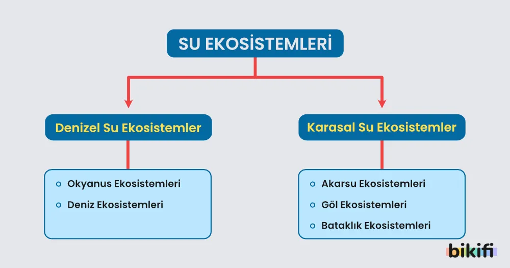 Su ekosistemlerinin sınıflandırılması