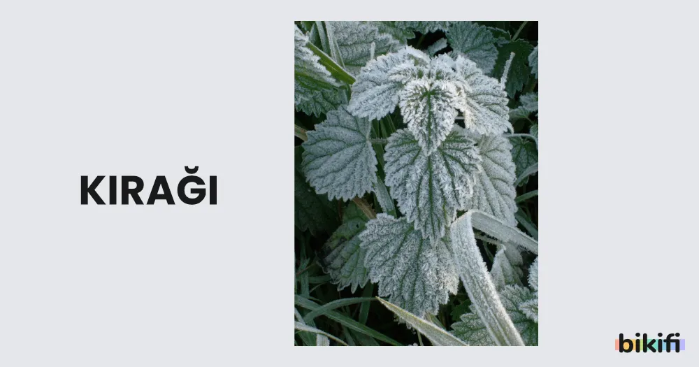 Kırağı yağış türü