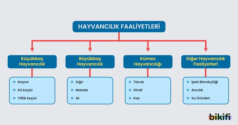 Türkiye'deki hayvancılık faaliyetlerinin sınıflandırılması