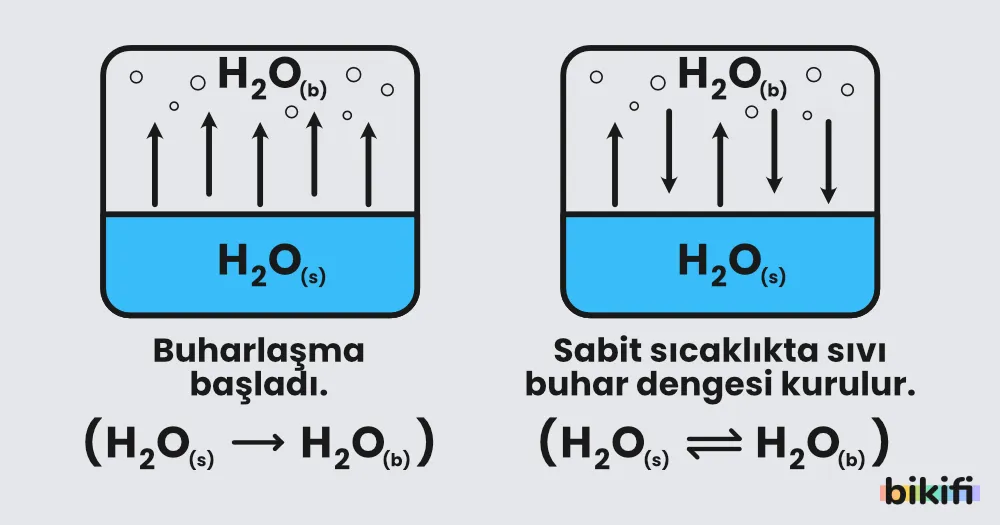 buhar basıncı dengesi - dinamik denge