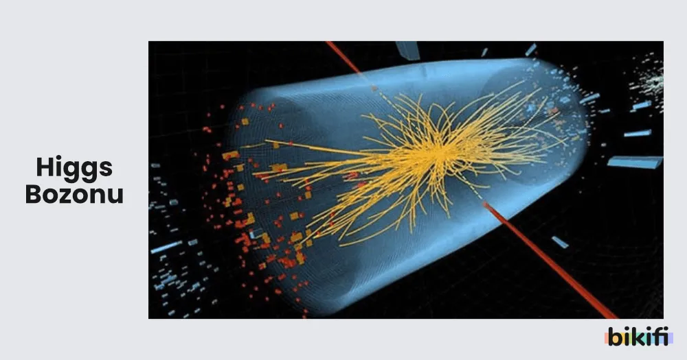 Higgs Bozonu