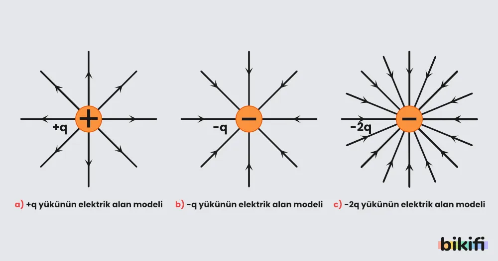 Elektrik Alan Çizgilerinin yüke göre değişimi