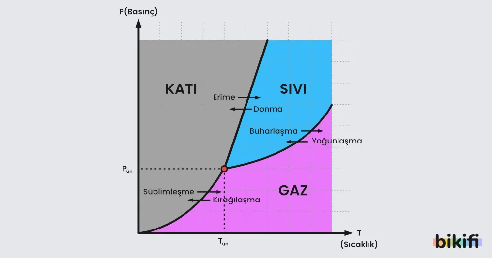 Faz Diyagramı