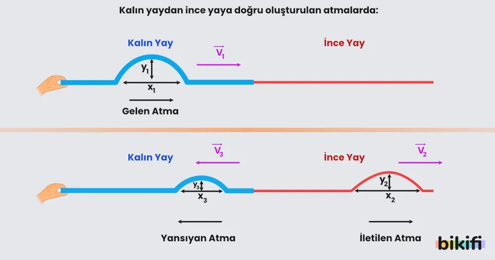 Birbirine Bağlı Yaylarda Yansıma ve İletim. Kalın yaydan ince yay doğru giden ve yansıyan atma