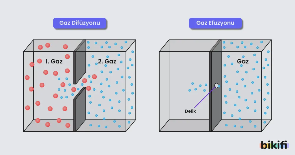 Difüzyon ve Efüzyon