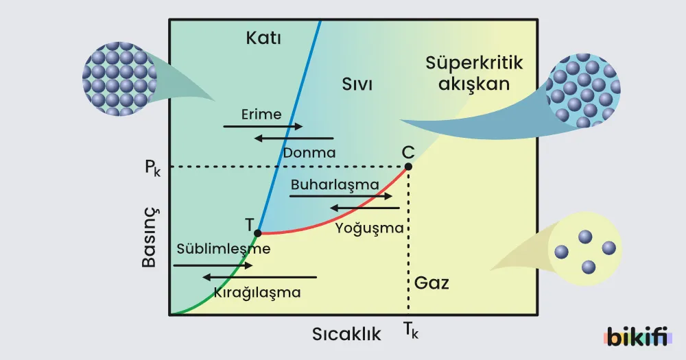 Örnek bir faz diyagramı