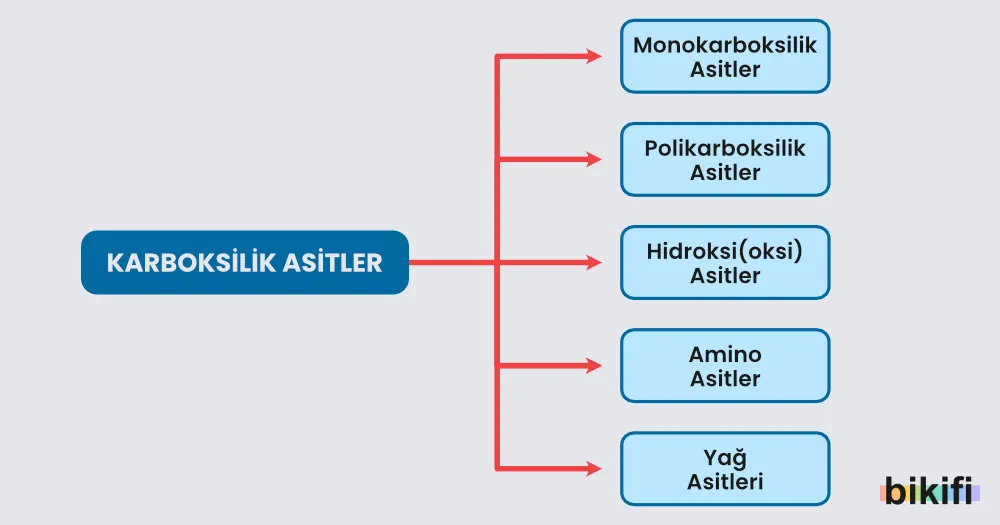 Karboksilik asitlerin sınıflandırılması