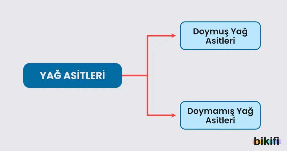 Yağ asitlerinin sınıflandırılması