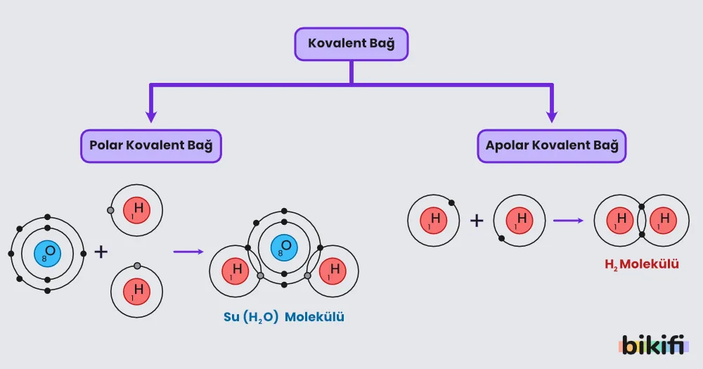 Polar ve Apolar Moleküller Nasıl Ayırt Edilir?