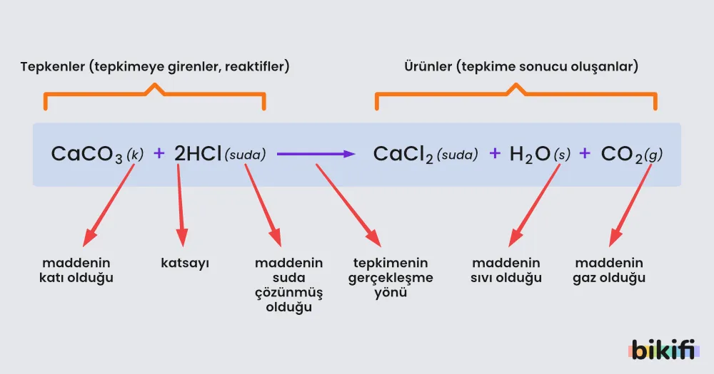 Tepkime Denkleminin Bileşenleri
