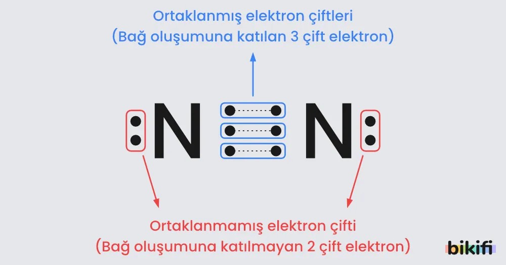 N2 molekülündeki ortaklanmış ve ortaklanmamış elektron çiftleri