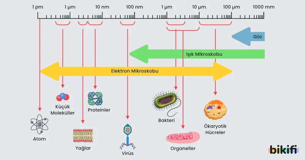 Nanoteknolojinin Ölçek Cetveli