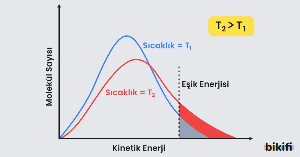sıcaklığın tepkime hızına etkisi
