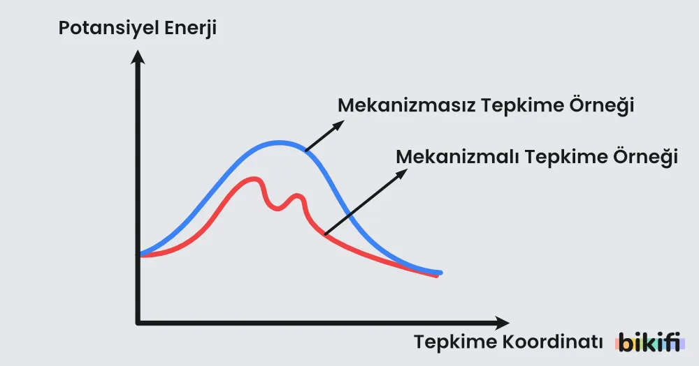 Mekanizmalı ve mekanizmasız tepkime karşılaştırması