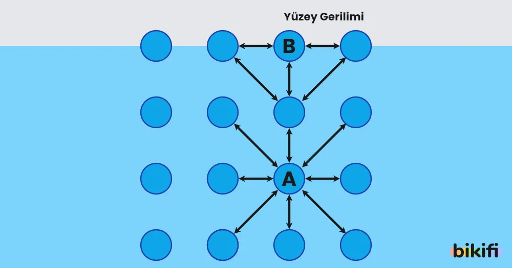 Yüzey Geriliminin oluşumu