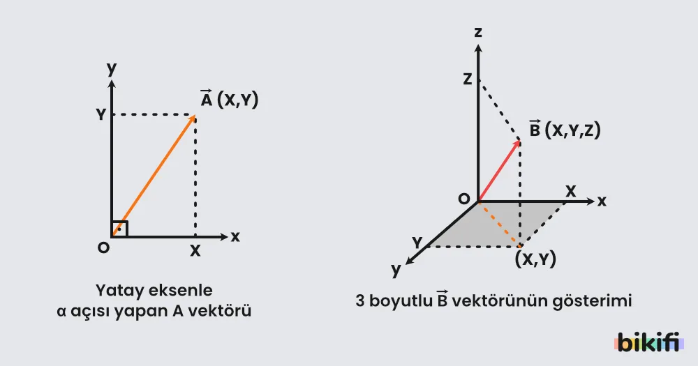 Vektörlerin Dik Koordinat Sisteminde İki ve Üç Boyutlu Olarak Çizilmesi